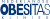 Logo Nederlandse Obesitas Kliniek (NOK)